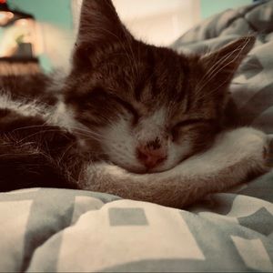 Meet your Posher, Emma